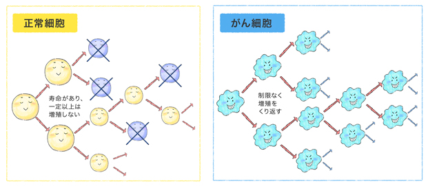 癌（がん）の転移